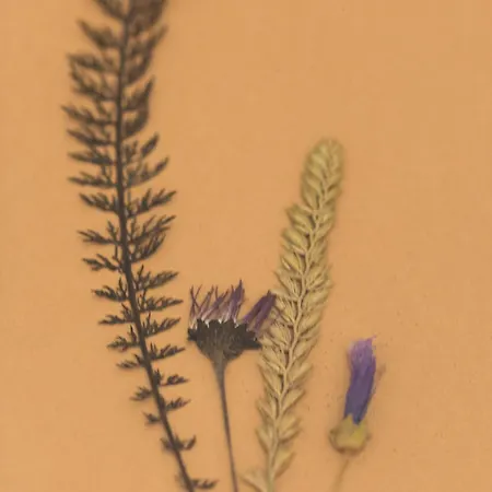 Irie - Baskeyrentals Apartman Aretxabaleta